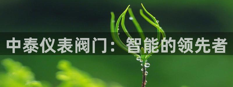 新宝gg怎样代理