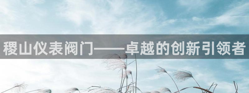 新宝gg注册登录