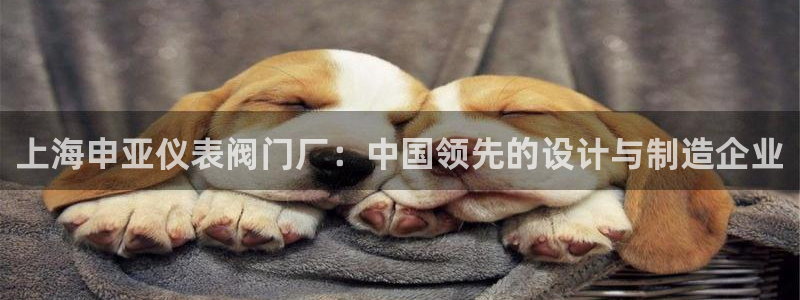 新宝gg — 创造!