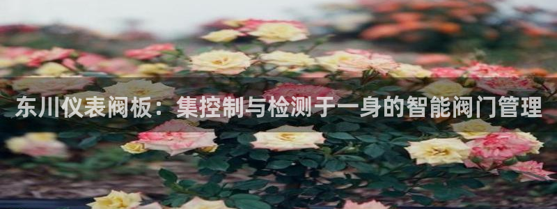 分分新宝gg