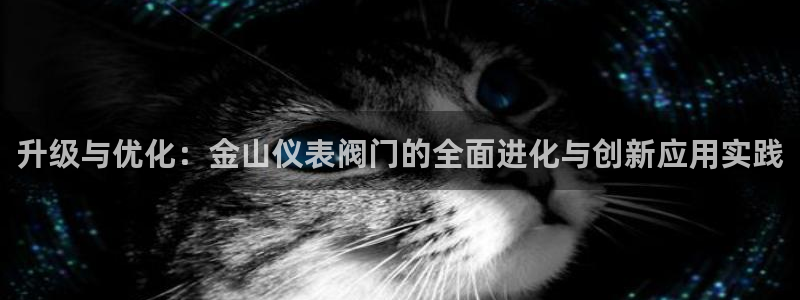 新宝GG登录网页