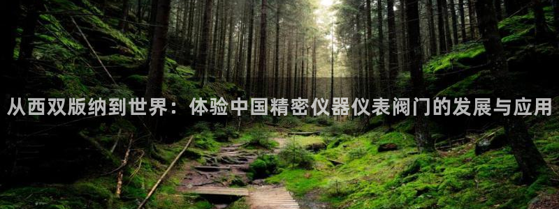 新宝gg平台开发