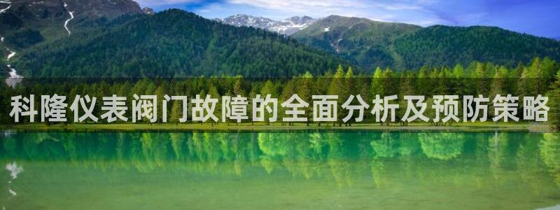 新宝gg登录页面