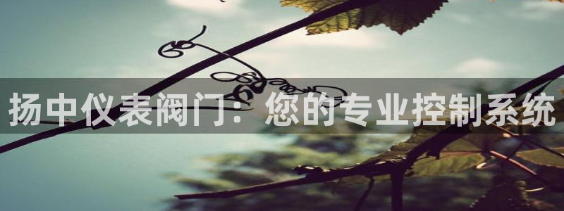 新宝gg开奖结果