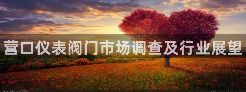 新宝 gg 登录注册