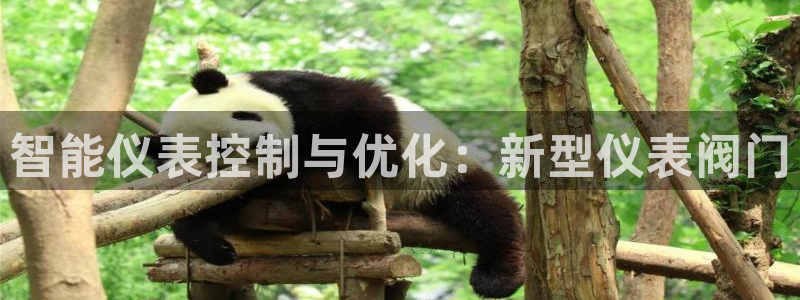 新宝gg官方主管