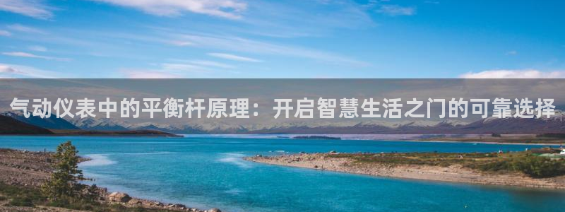 新宝gg游戏平台