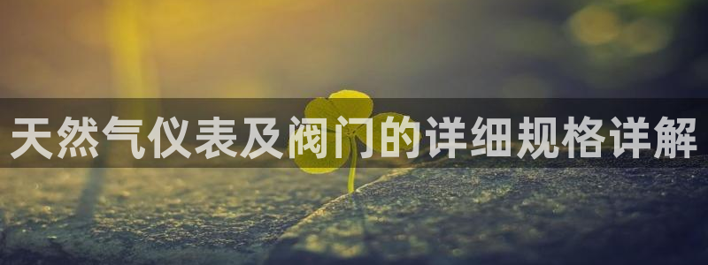 新宝 gg 登录注册