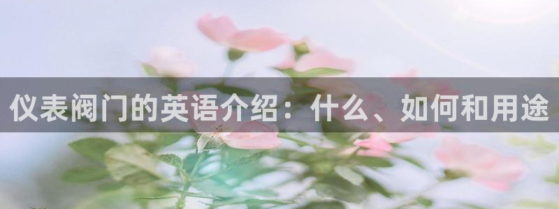 77新宝gg