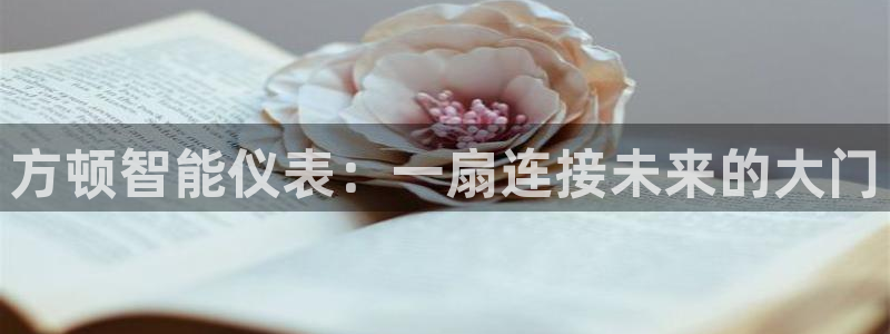 新宝gg和新宝123