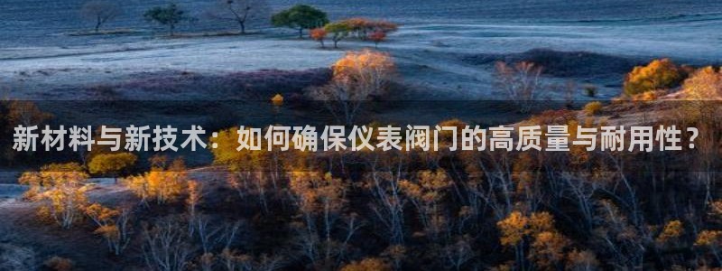 新宝Gg测速地址