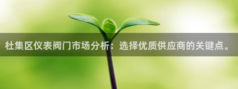 新宝六与新宝gg