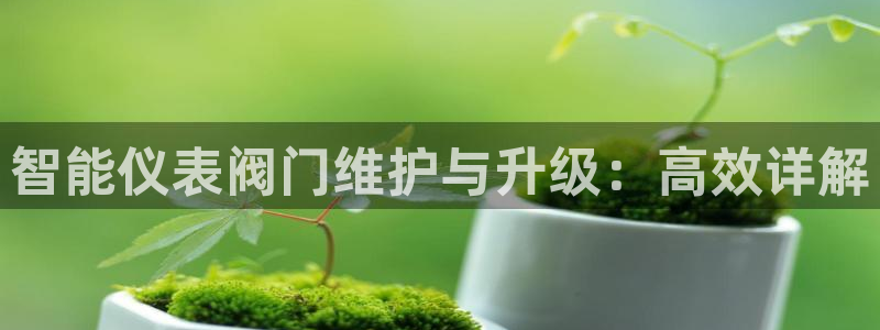 新宝gg地址新宝二