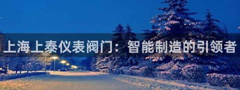 新宝GG用哪个网址登录