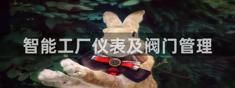 新宝gg龙虎规则