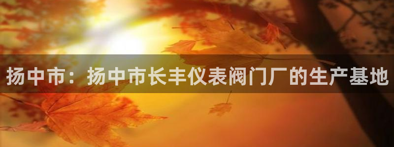 新宝gg 创造奇迹