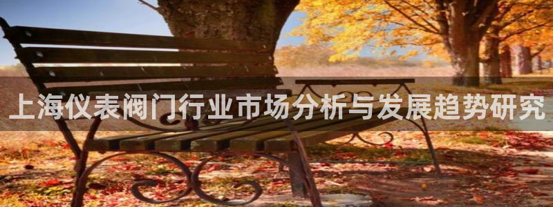 新宝gg平台开发