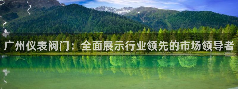 新宝gg返点1956是多少