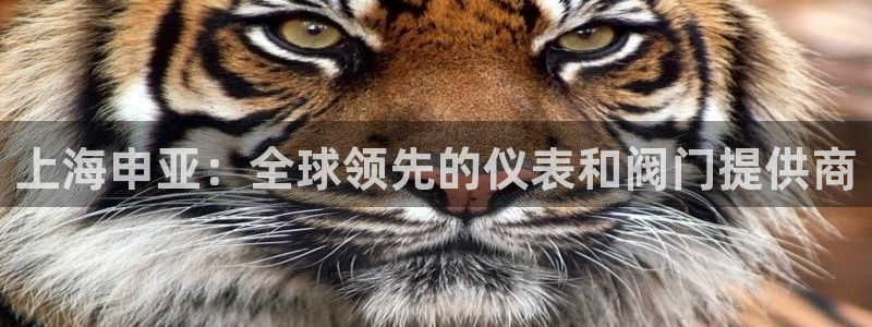 新宝GG最高返点多少