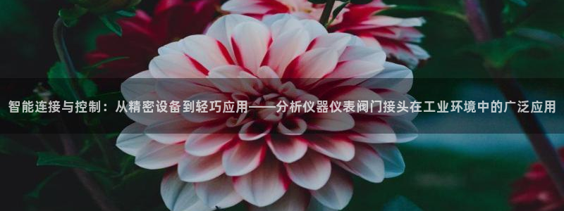 新宝gg娱乐-上鼎狐网