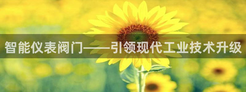 新宝gg怎么做代理