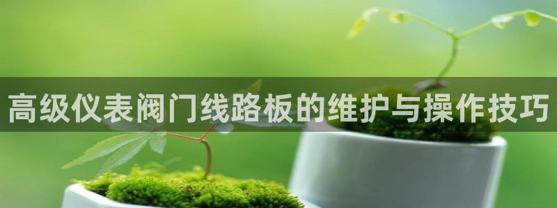 新宝gg平台开户