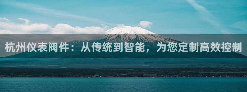 新宝gg如何做到总代理