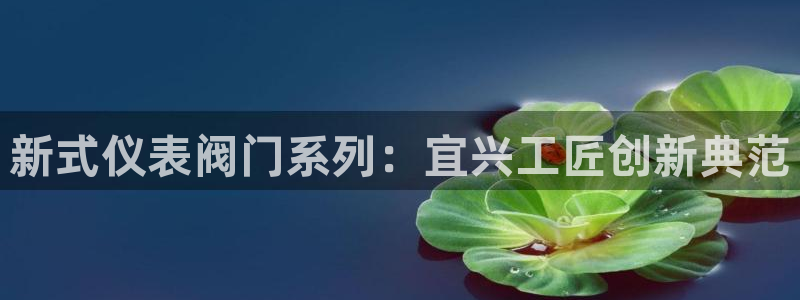 新宝注册gg平台