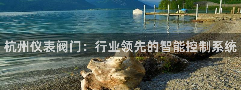 新宝gg娱乐-上鼎狐网