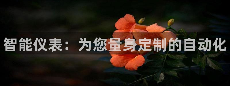 新宝GG都有哪些计划