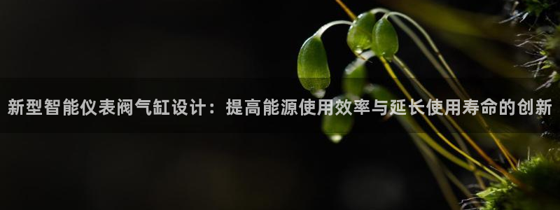 新宝gg平台首页