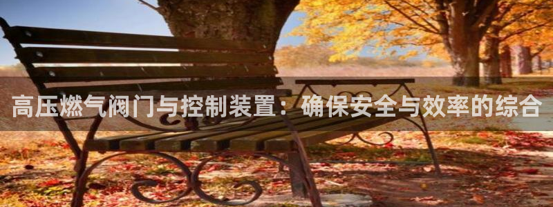 新宝gg挂机软件下载