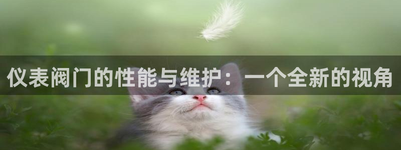 新宝gg论坛