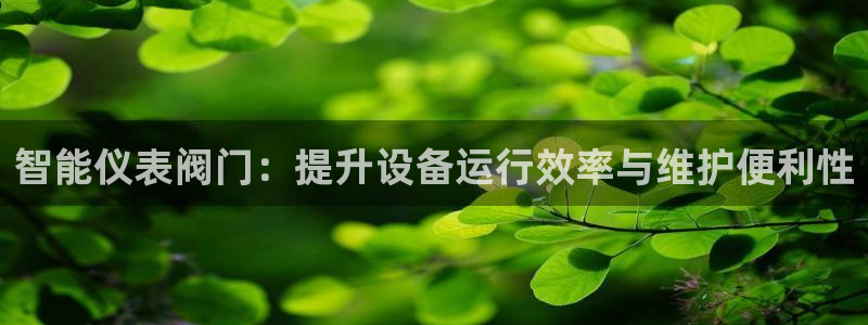 新宝gg佣金