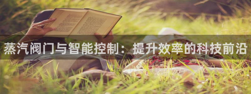 新宝gg如何注册