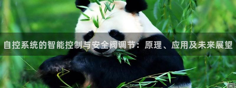 新宝gg 奇迹