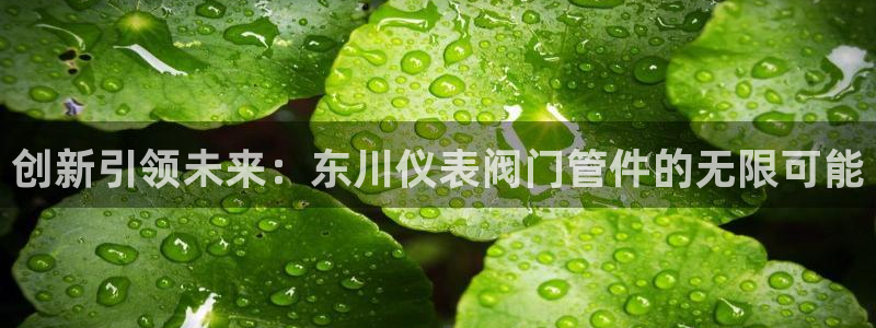新宝gg扣钱
