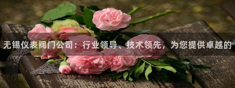 新宝GG无法充值