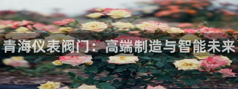 新宝gg正规