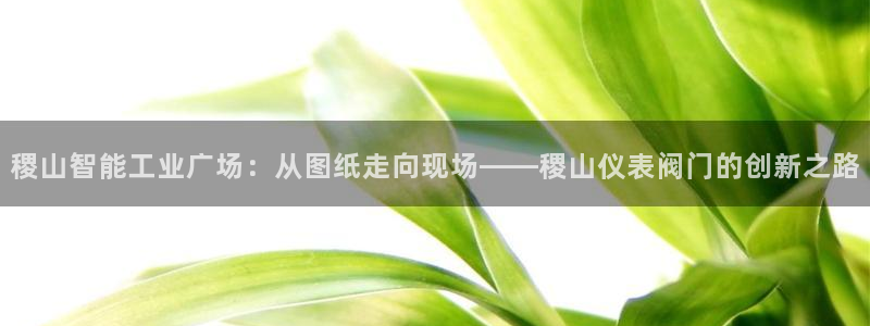 新宝gg招商致胜团队
