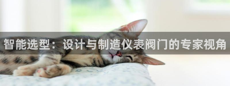 新宝gg网娱乐