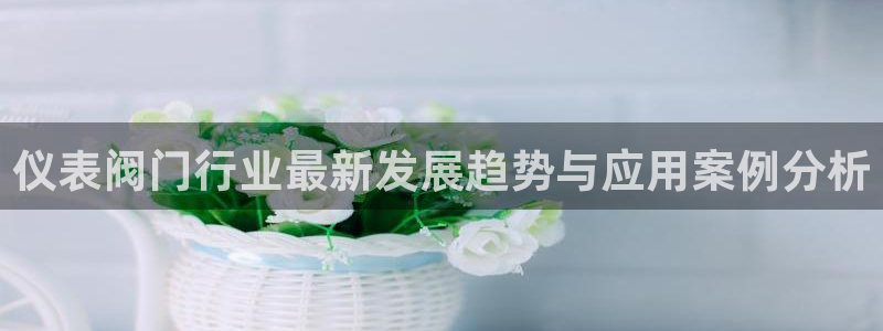 娱乐世界新宝gg
