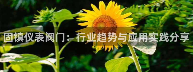 新宝gg网娱乐