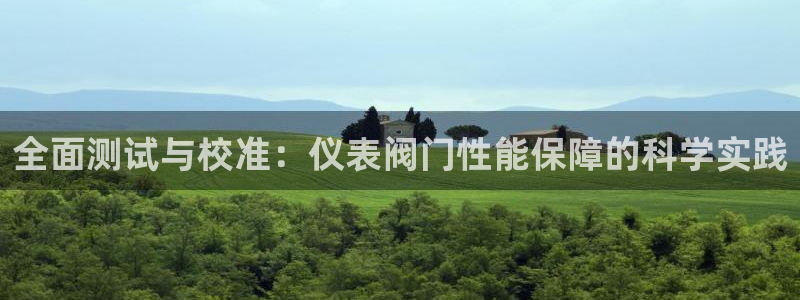 新宝gg玩法