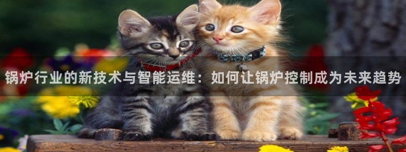 新宝奇迹GG5