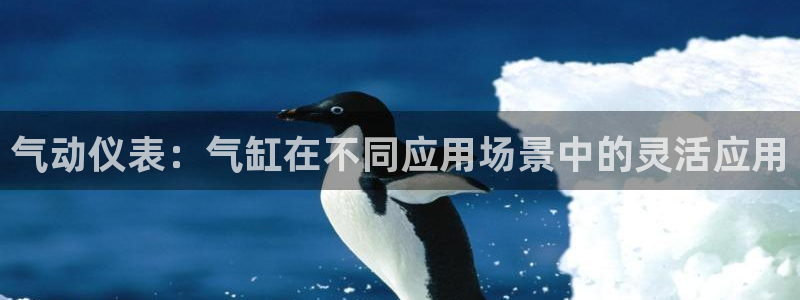 新宝6娱乐新宝gg