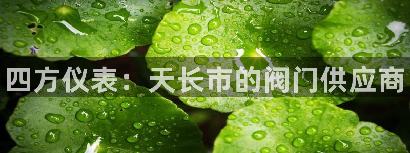 新宝gg欢迎